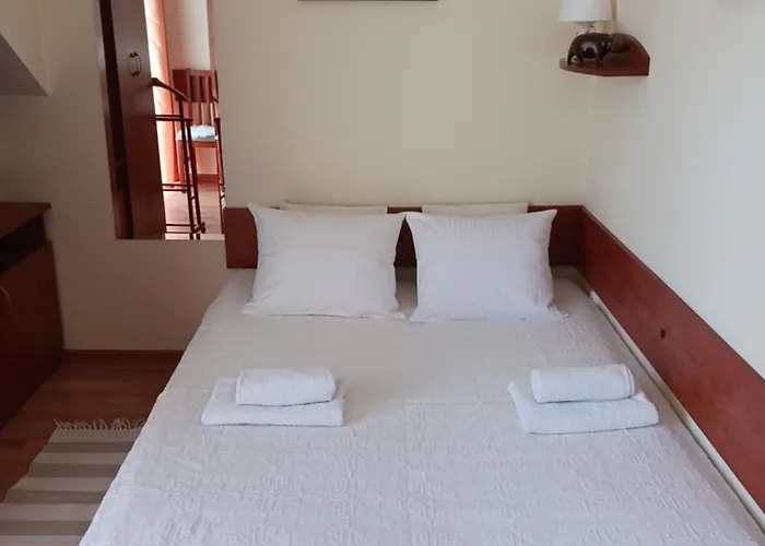 Goscinne Jana Homestay szállás